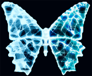 Image - diversity butterfly skeleton abstract Image - diversity butterfly skeleton abstract
